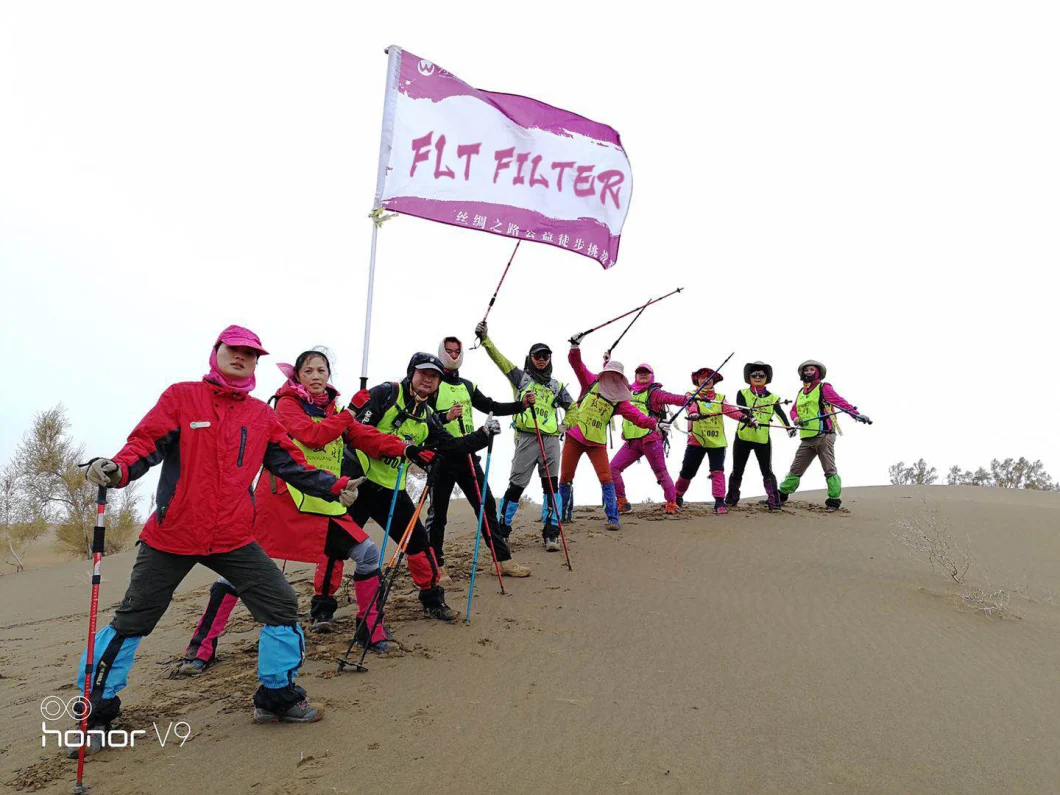 এক্রাইলিক পিপি গ্লাস ফাইবার ধুলো সংগ্রাহক ফিল্টার ব্যাগ 9