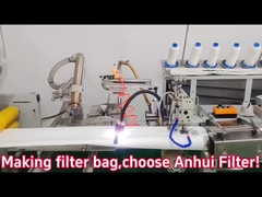 কাস্টম পলিয়েস্টার ফিল্টার ব্যাগ, নোমেক্স ফিল্টার ব্যাগ, P84 ফিল্টার ব্যাগ, পিপিএস ফিল্টার ব্যাগ, পিটিএফই ফিল্টার ব্যাগ, ফাইবেগ