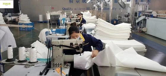 পলিয়েস্টার নোমেক্স পিপিএস পিটিএফই ইগল ফিল্টার নন-উত্তোলিত ফিল্টার ব্যাগ ধুলো সরঞ্জাম জন্য